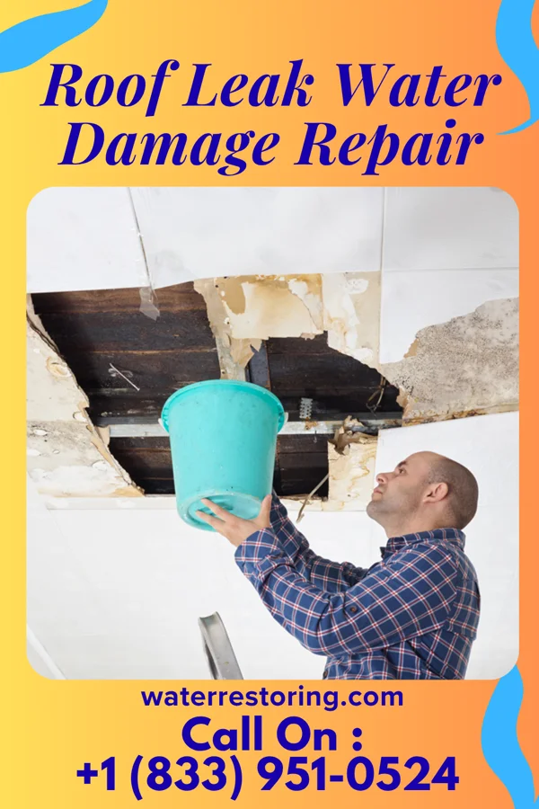Roof Leak Water Damage Repair in Midland, WA
